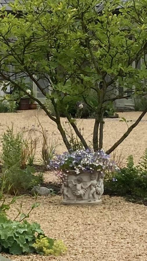 The Garden Rooms At The Courtyard,Townley Hall Дроэда Экстерьер фото